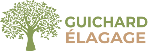 GUICHARD ÉLAGAGE