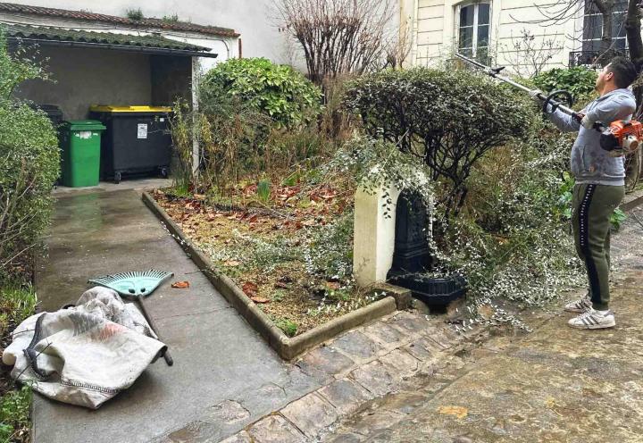 Élagage et abattage d'arbres Chatou