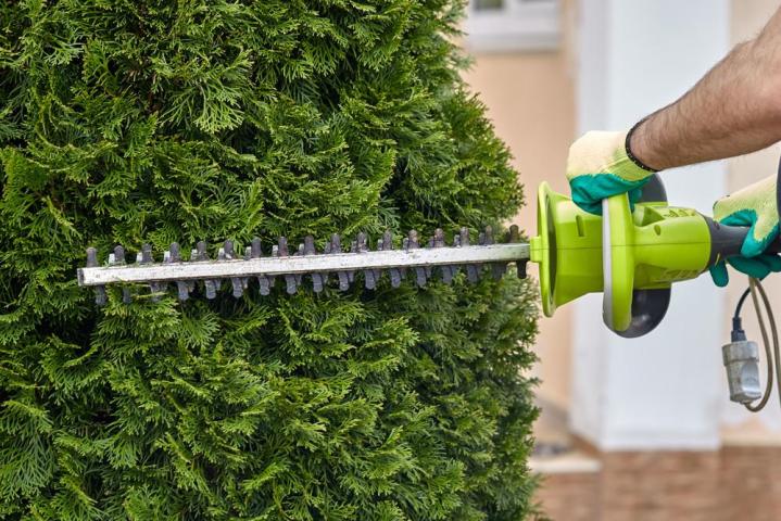 travaux d’entretien de jardin Chatou