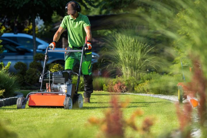 Entretien de jardin Chatou