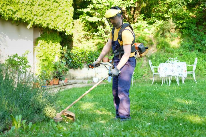Entretien de jardin Chatou